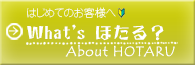 what'sほたる